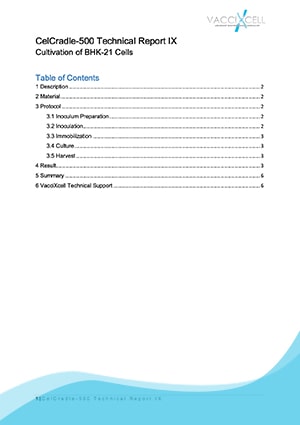 Cultivation of BHK-21 Cells